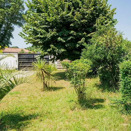 Jolie Maison Landaise Avec Piscine *